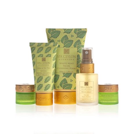 Neem & Tea Tree - Skin Care Essential Set