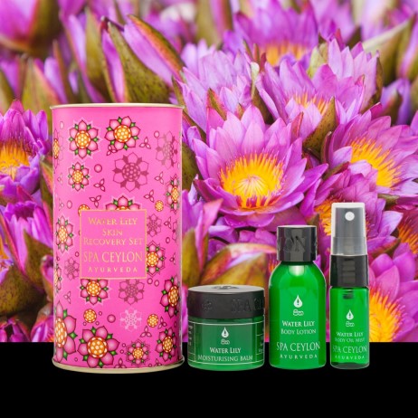 Water Lily Skin Recovery Set
